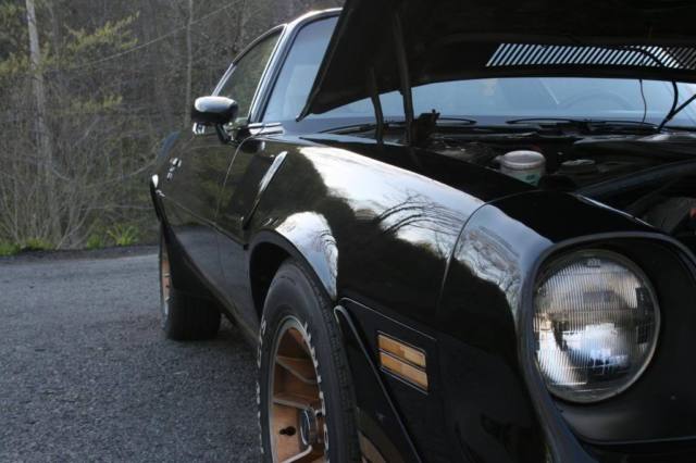 1981 Chevrolet Camaro Z28 - photo 3