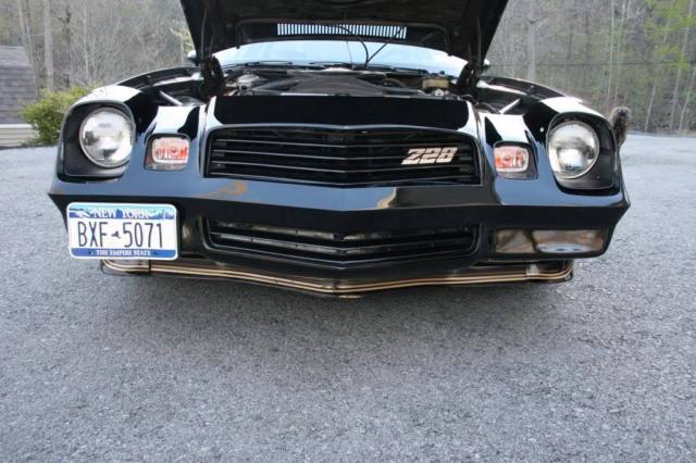 1981 Chevrolet Camaro Z28 - photo 7