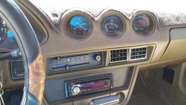 1982 Datsun Z-Series T-Tops and back Louvers - photo 8