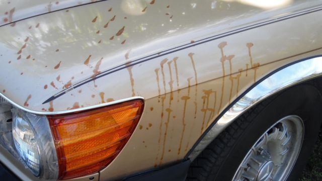 1982 Mercedes-Benz 300-Series 380SL - photo 10