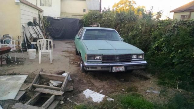 1982 Oldsmobile Cutlass CUSTOM CRUISER