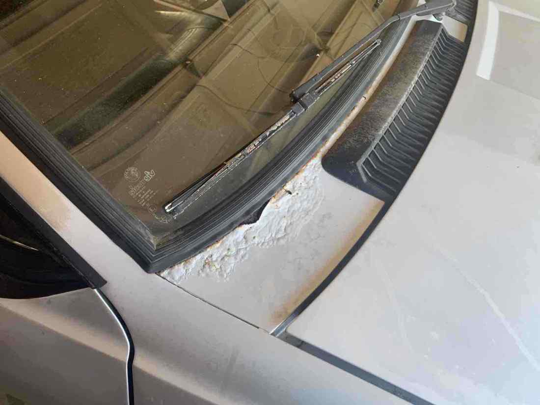 1982 Alfa Romeo GTV-6 V6 2.5 - photo 3