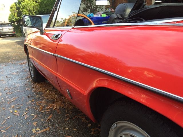 1982 Alfa Romeo Spider - photo 4