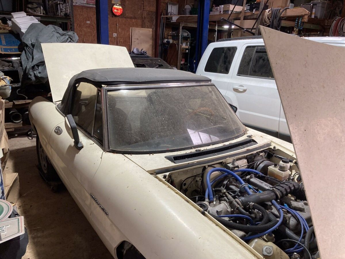 1982 Alfa Romeo Spider Convertible Brown RWD Manual 2000 SPIDER 1982 Alfa Romeo Spider 2000 SPIDER