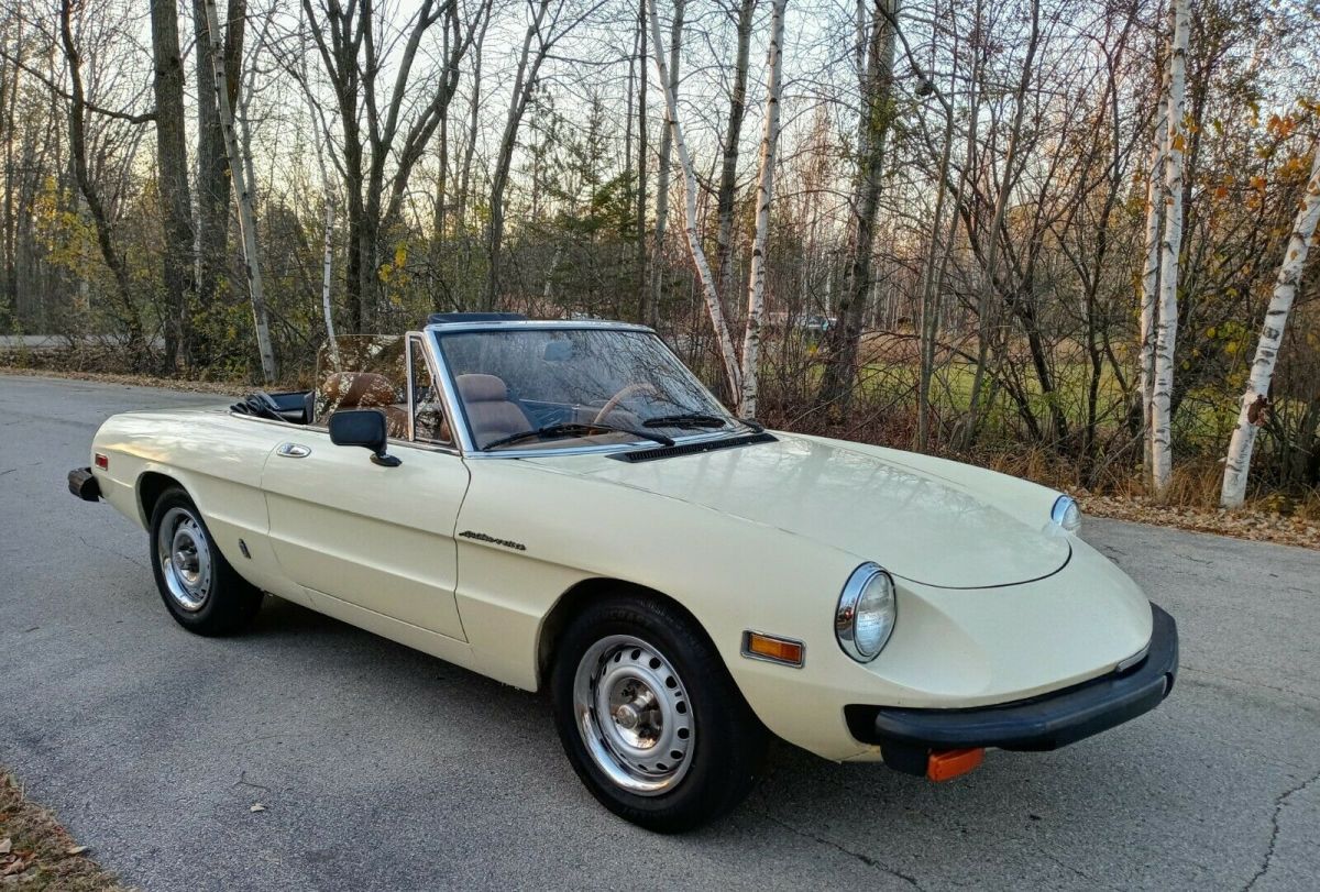 1982 Alfa Romeo Spider - photo 13