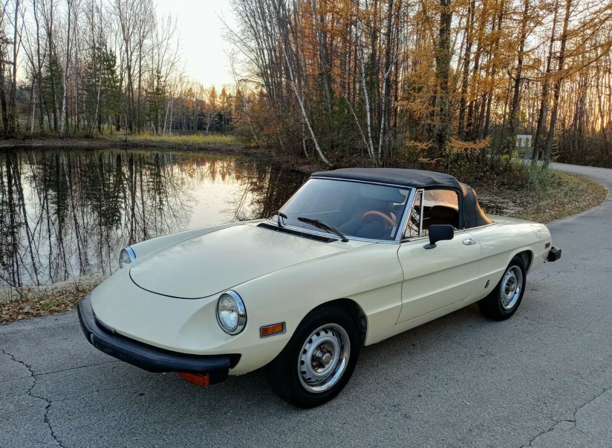 1982 Alfa Romeo Spider - photo 3