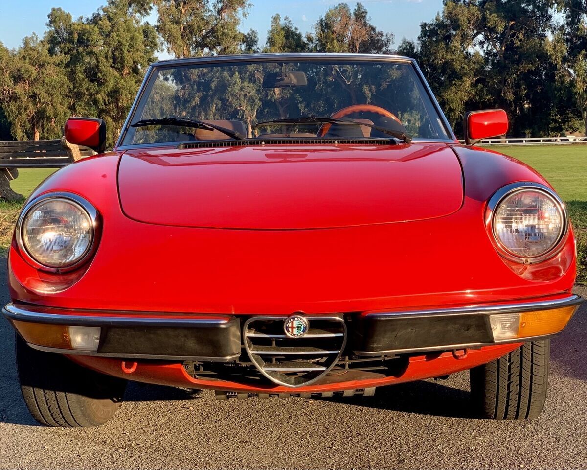 1982 Alfa Romeo Spider 2000 SPIDER - photo 3