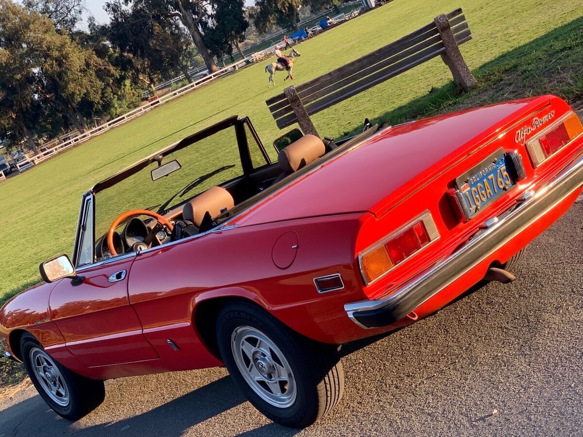 1982 Alfa Romeo Spider 2000 SPIDER - photo 6