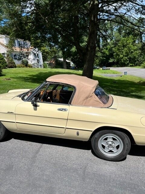 1982 Alfa Romeo Spider - photo 2