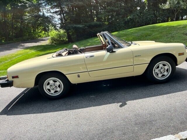 1982 Alfa Romeo Spider - photo 5