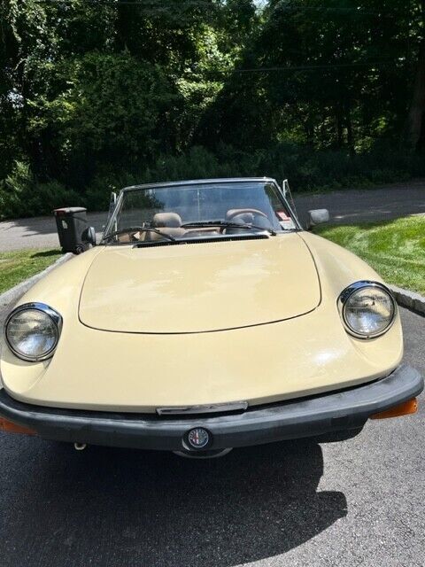 1982 Alfa Romeo Spider - photo 6
