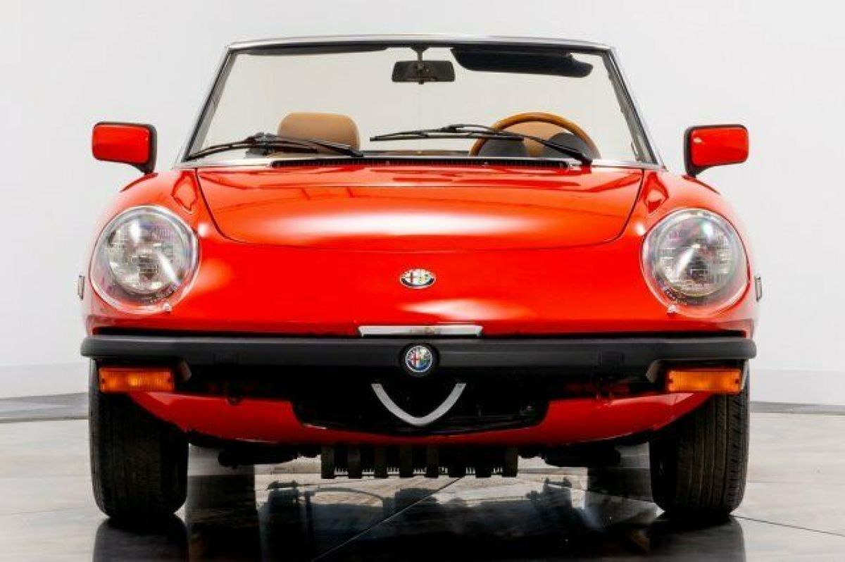 1982 Alfa Romeo Spider Veloce - photo 3