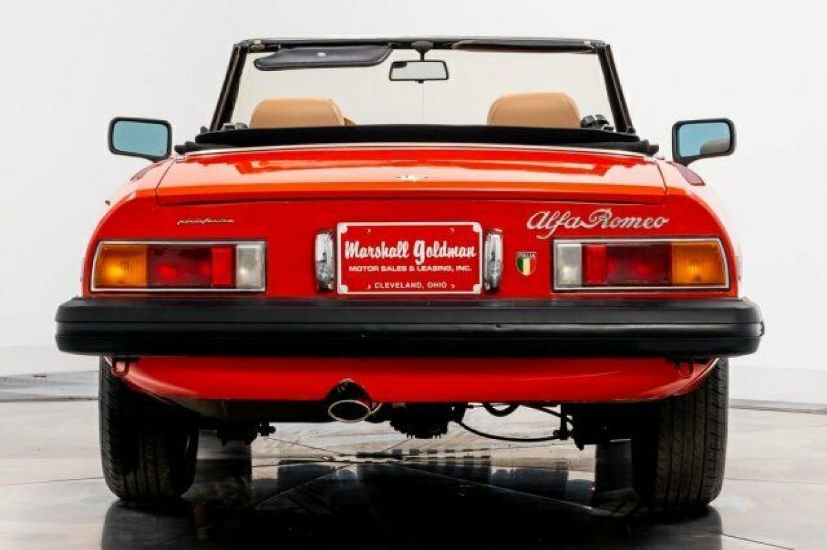 1982 Alfa Romeo Spider Veloce - photo 7