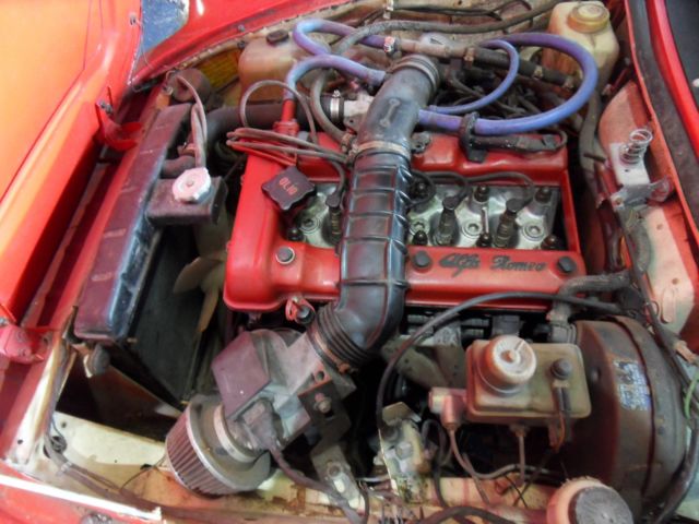 1982 Alfa Romeo Spider Veloce - photo 3