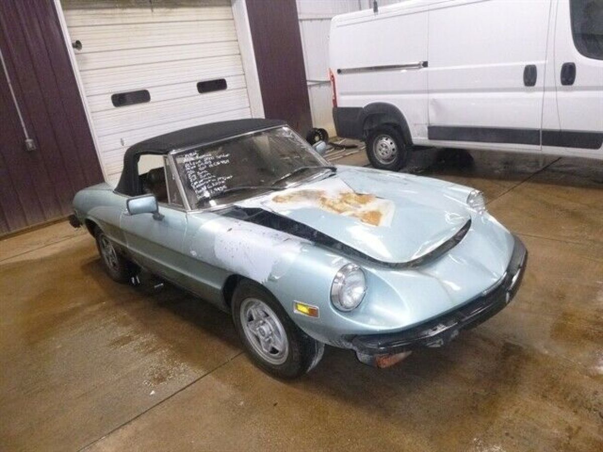 1982 Alfa Romeo Spider Veloce - photo 2