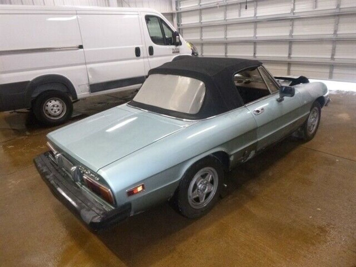 1982 Alfa Romeo Spider Veloce - photo 4