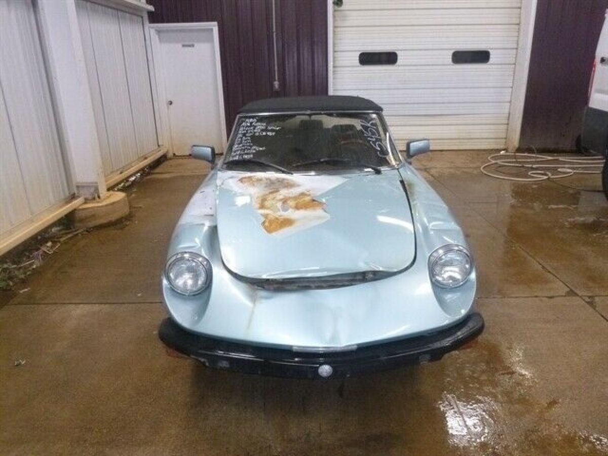1982 Alfa Romeo Spider Veloce - photo 5