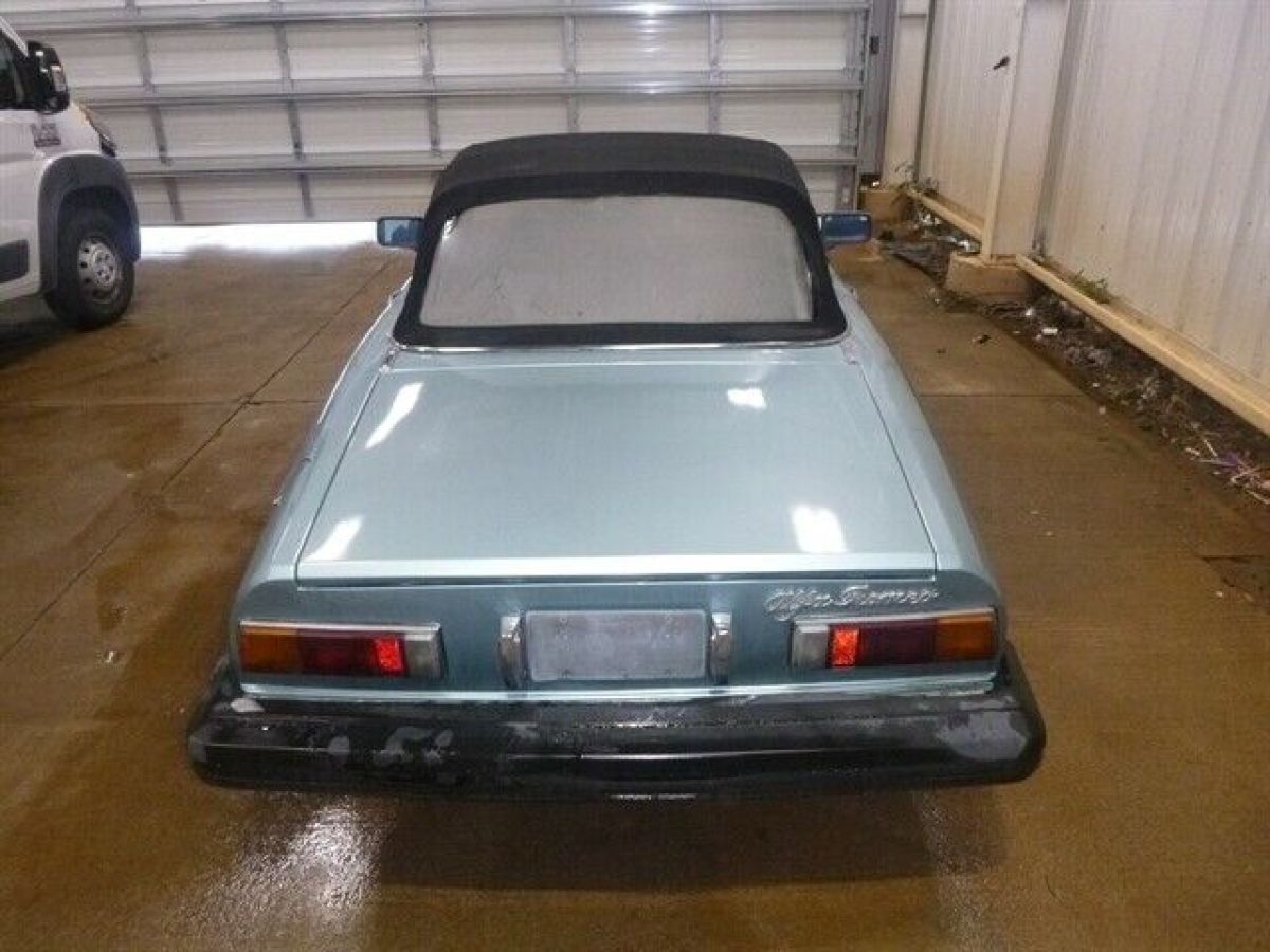 1982 Alfa Romeo Spider Veloce - photo 6
