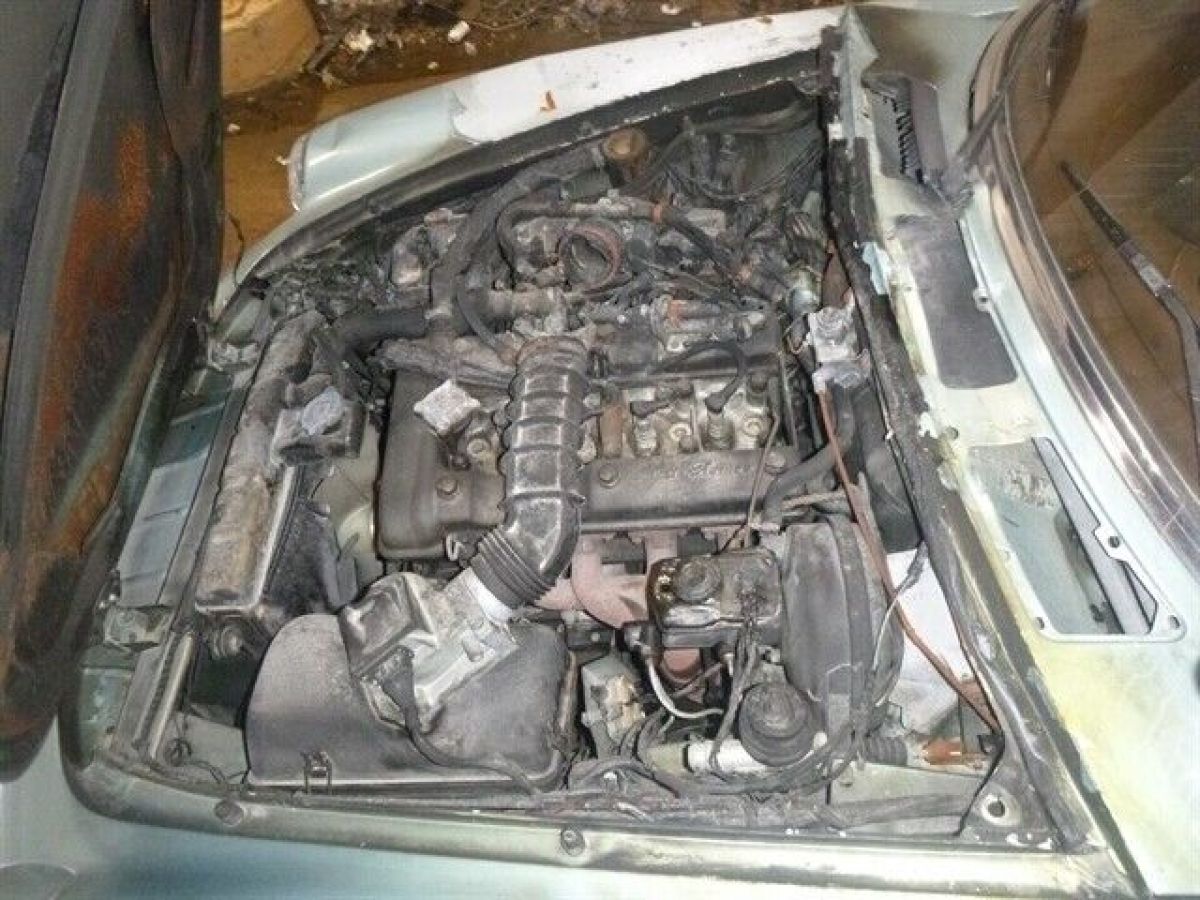 1982 Alfa Romeo Spider Veloce - photo 7