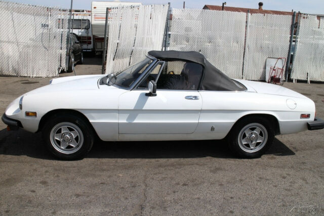1982 Alfa Romeo Spider Veloce - photo 2