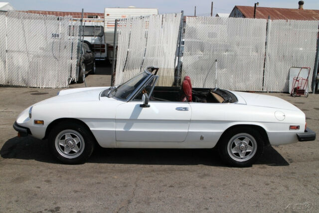 1982 Alfa Romeo Spider Veloce - photo 3