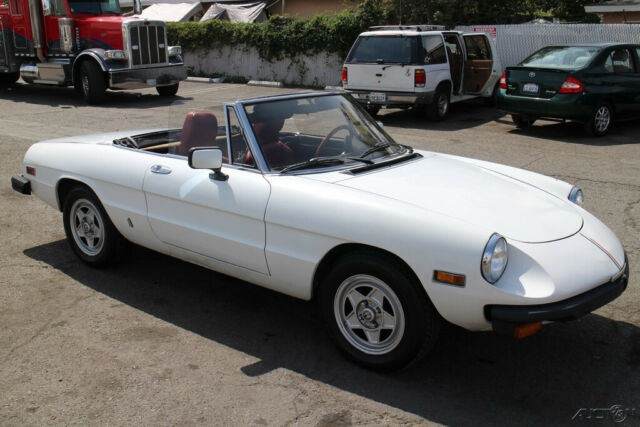 1982 Alfa Romeo Spider Veloce - photo 4