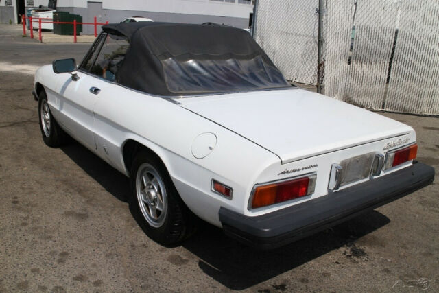 1982 Alfa Romeo Spider Veloce - photo 5