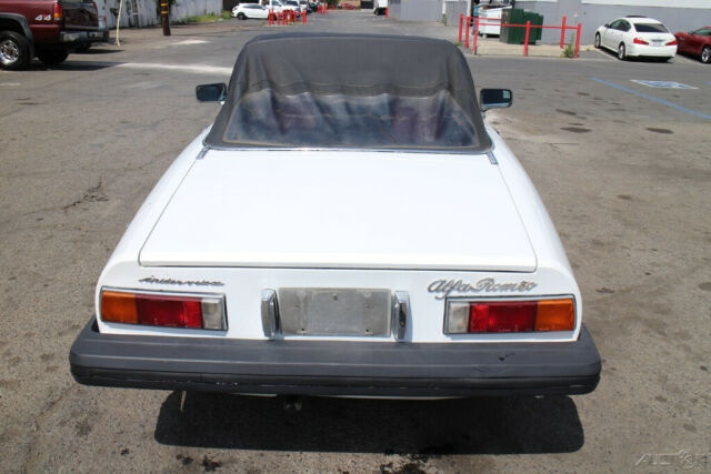 1982 Alfa Romeo Spider Veloce - photo 6