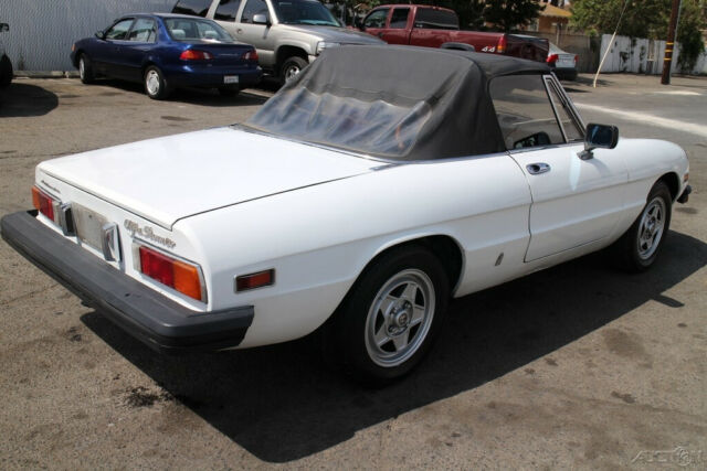 1982 Alfa Romeo Spider Veloce - photo 7