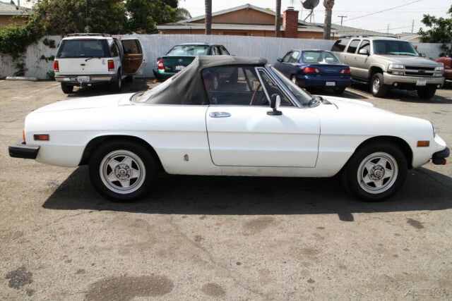 1982 Alfa Romeo Spider Veloce - photo 8