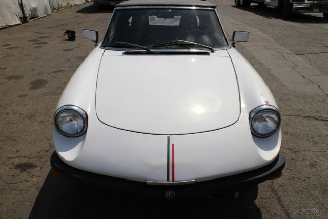 1982 Alfa Romeo Spider Veloce - photo 9