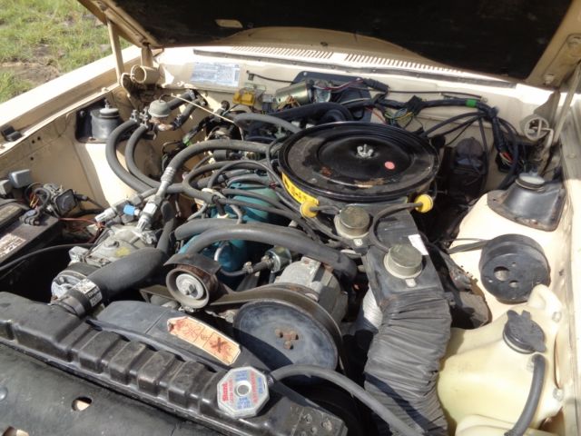 1982 AMC DL 2 DOOR DL - photo 12