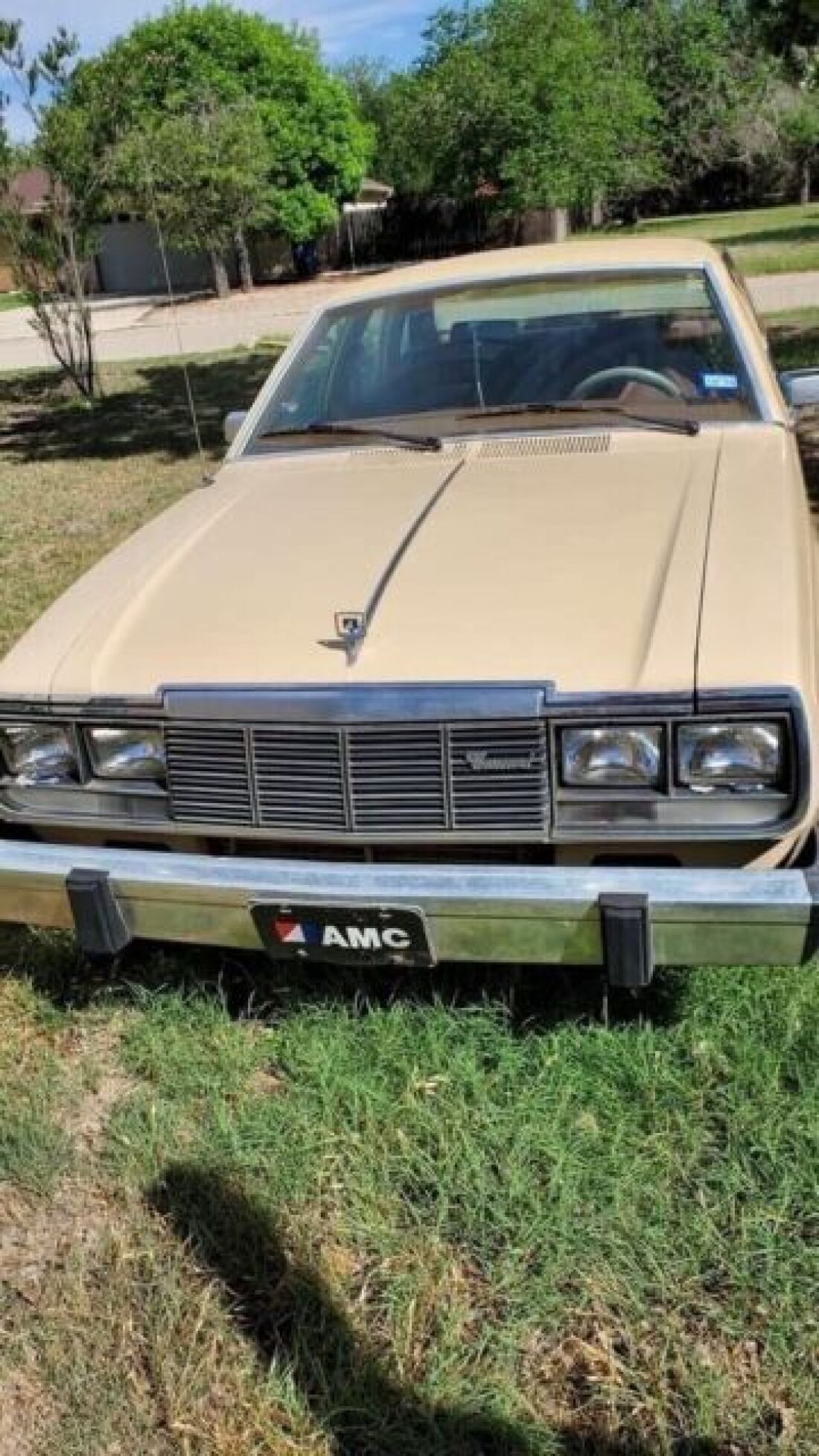 1982 AMC Concord DL - photo 4