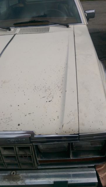1982 AMC Other Limited - photo 11