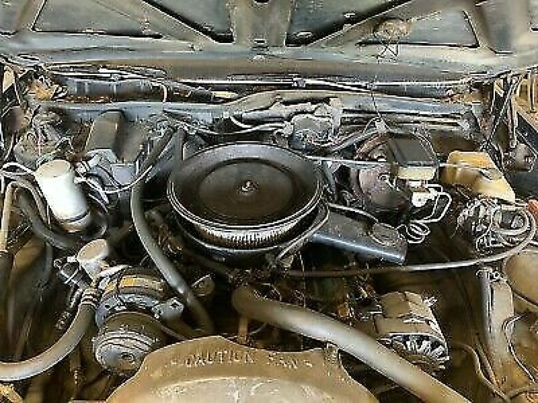 1982 Buick Estate Wagon ESTATE - photo 12