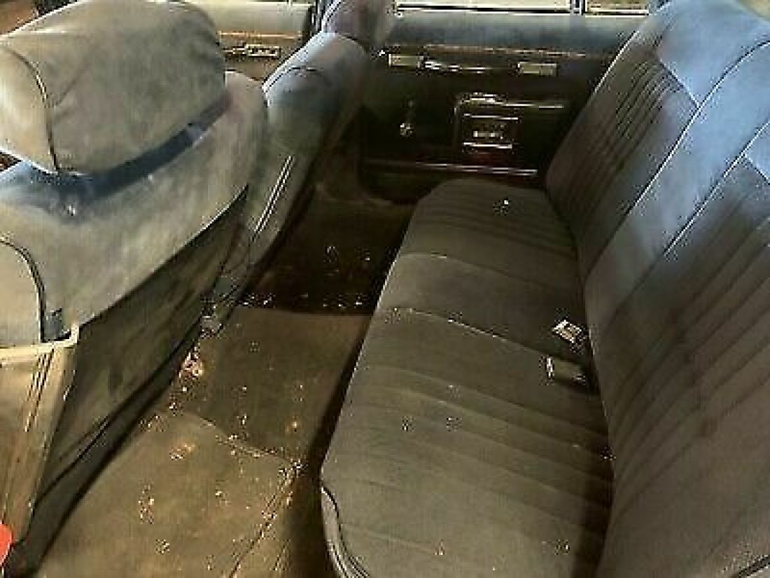 1982 Buick Estate Wagon ESTATE - photo 8