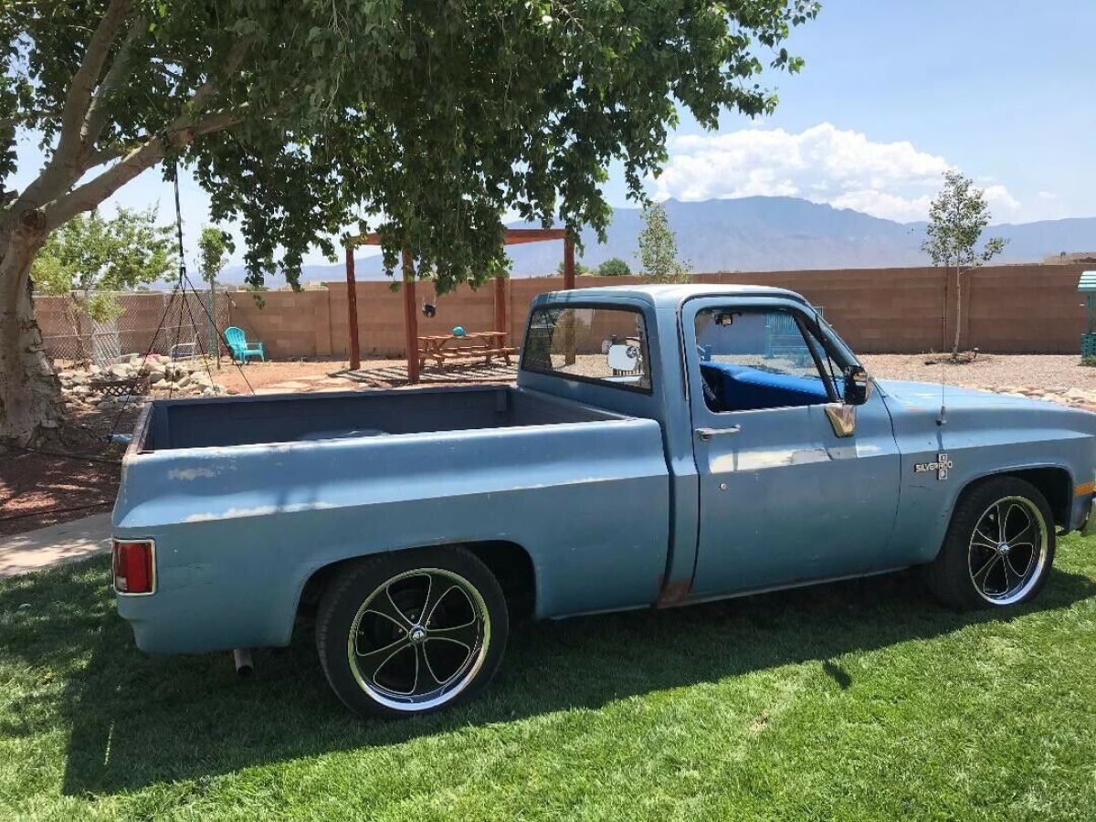 1982 Chevrolet C-10 Short Bed Patina lowered dropped 20's retro rust classic rod 1982 Chevrolet C-10
