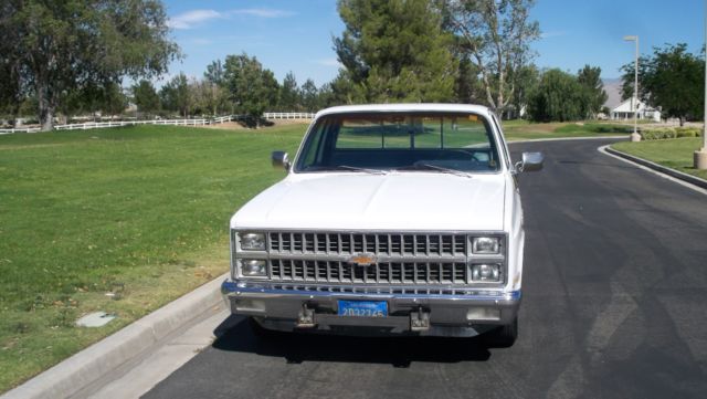 1982 Chevrolet C-10 - photo 2