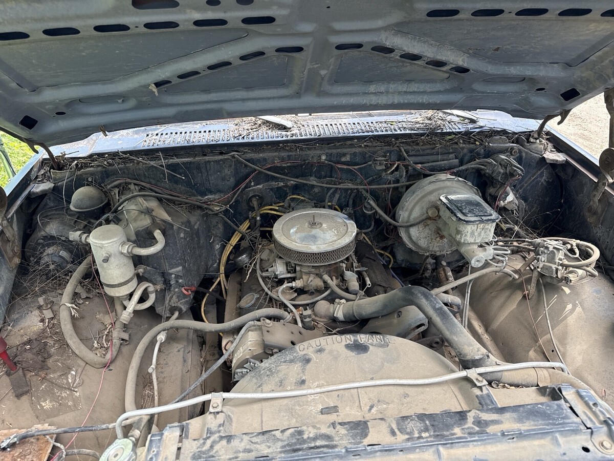 1982 Chevrolet C-10 - photo 10