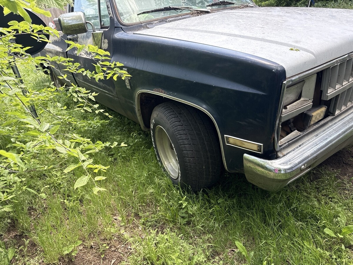 1982 Chevrolet C-10 - photo 6