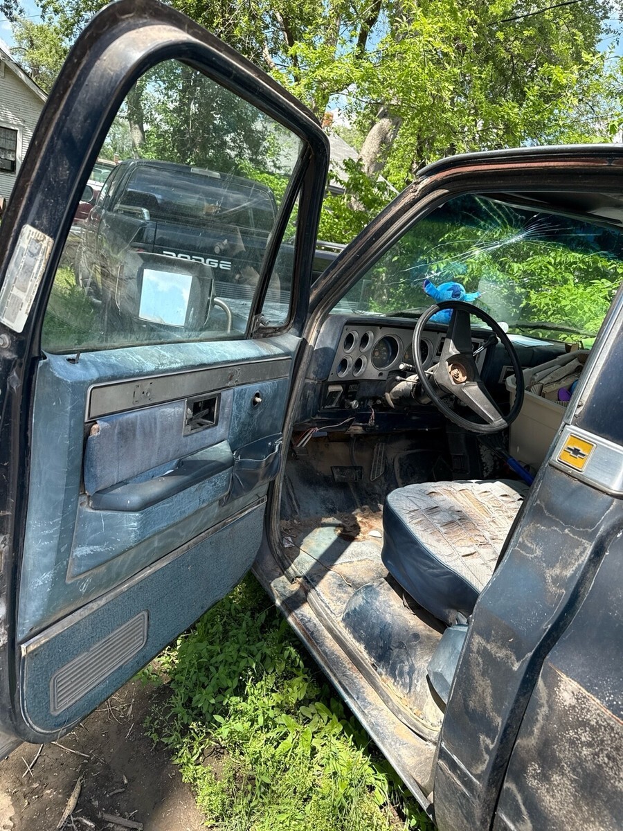 1982 Chevrolet C-10 - photo 7