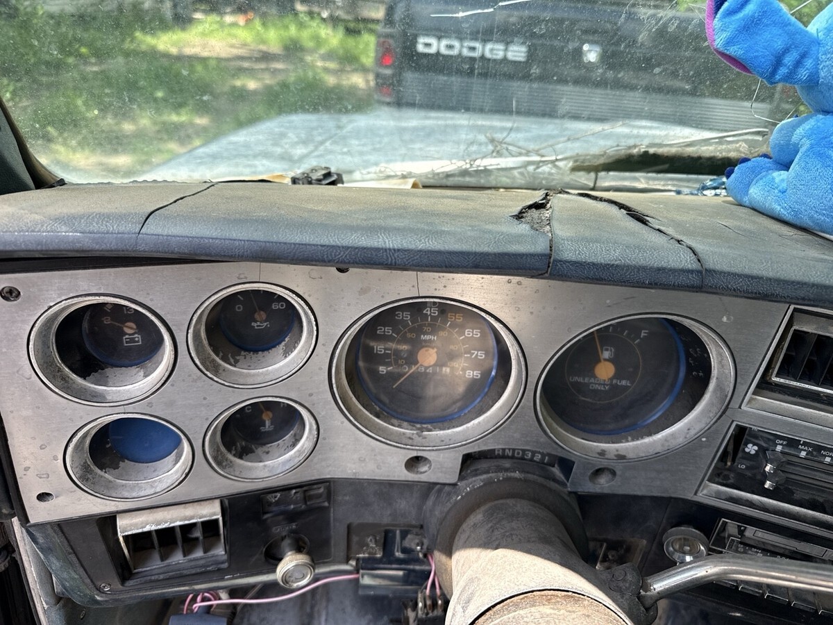 1982 Chevrolet C-10 - photo 8