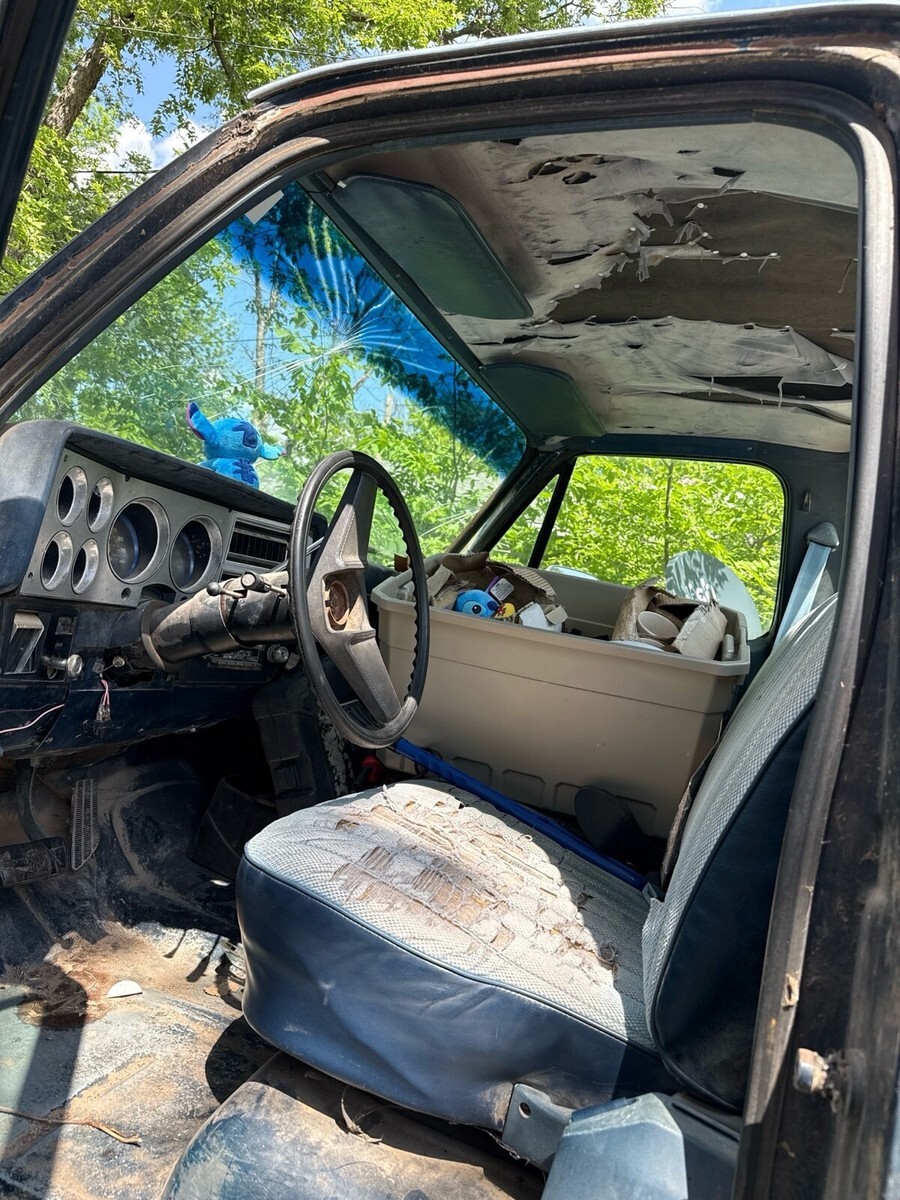 1982 Chevrolet C-10 - photo 9