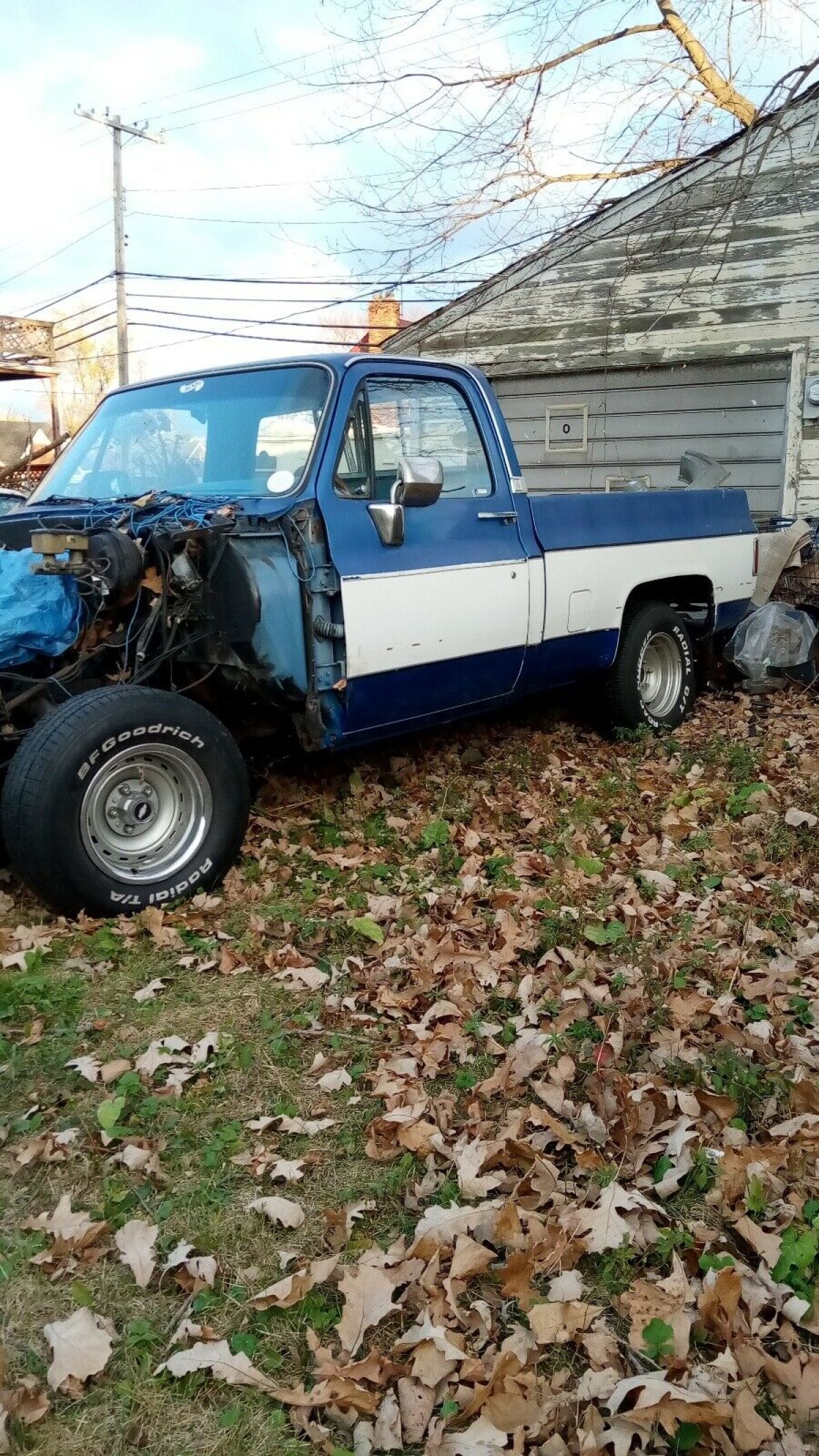 1982 Chevrolet C10