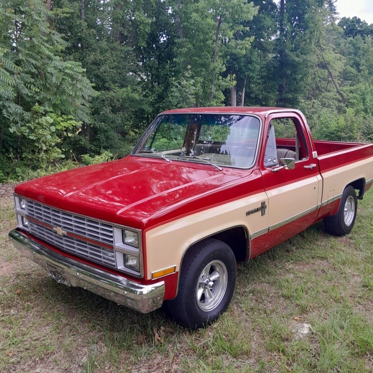 1982 Chevrolet C-10 - photo 9