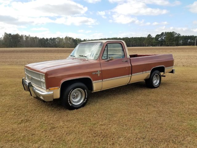 1982 Chevrolet C-10 Scottsdale - photo 6