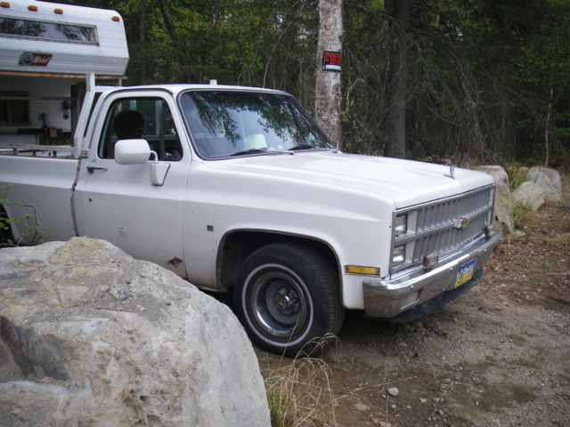 1982 Chevrolet C-10 Silverado Standard Cab Pickup 2-Door - photo 2