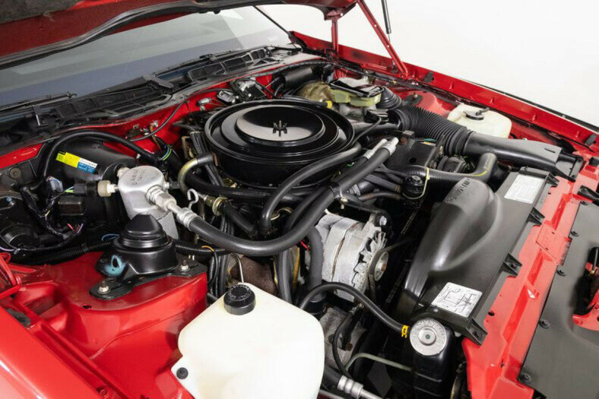 1982 Chevrolet Camaro Berlinetta 14k Miles - photo 3