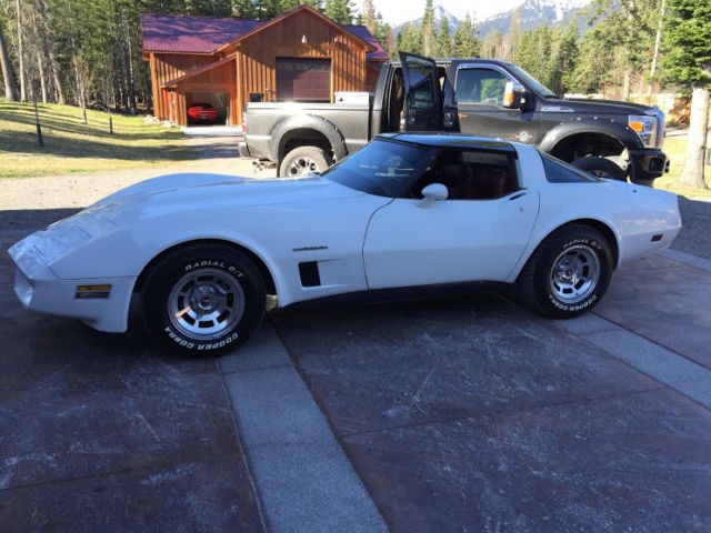 1982 Chevrolet Corvette - photo 3