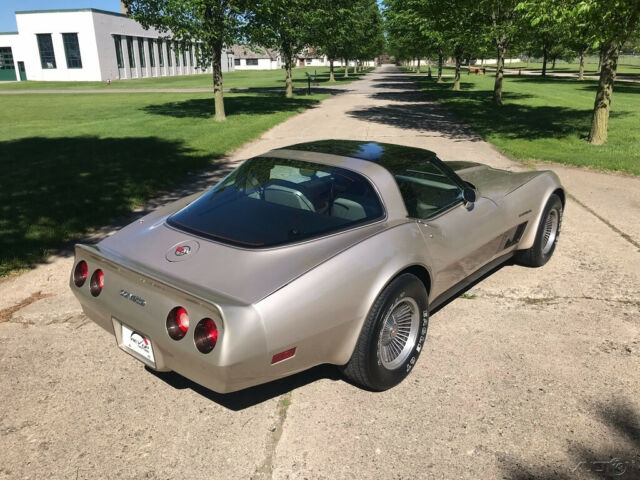 1982 Chevrolet Corvette Collector Edition - photo 10